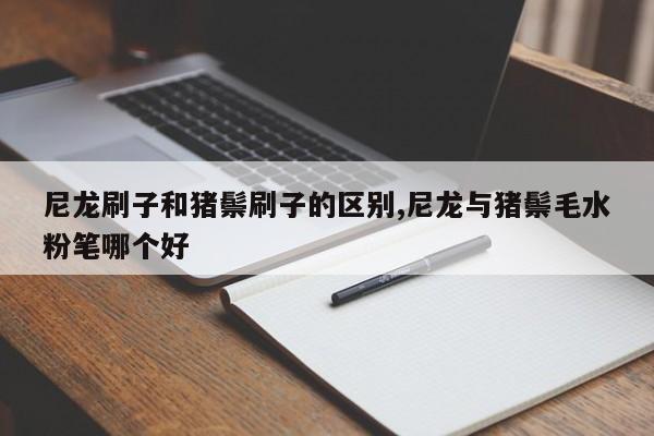 尼龙刷子和猪鬃刷子的区别,尼龙与猪鬃毛水粉笔哪个好