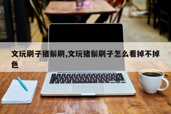 文玩刷子猪鬃刷,文玩猪鬃刷子怎么看掉不掉色