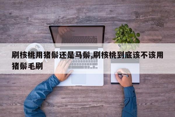 刷核桃用猪鬃还是马鬃,刷核桃到底该不该用猪鬃毛刷