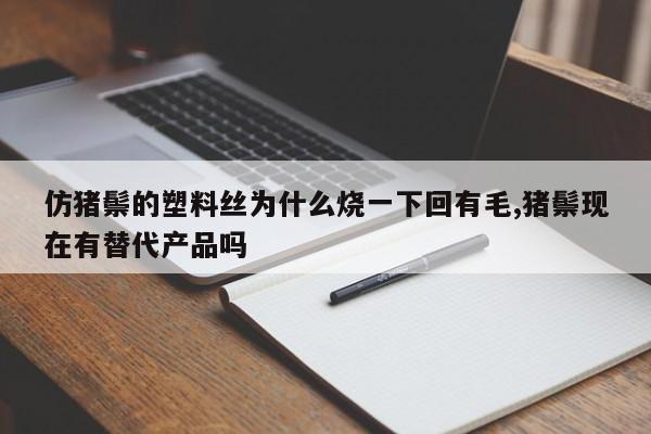 仿猪鬃的塑料丝为什么烧一下回有毛,猪鬃现在有替代产品吗