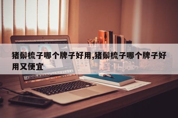 猪鬃梳子哪个牌子好用,猪鬃梳子哪个牌子好用又便宜