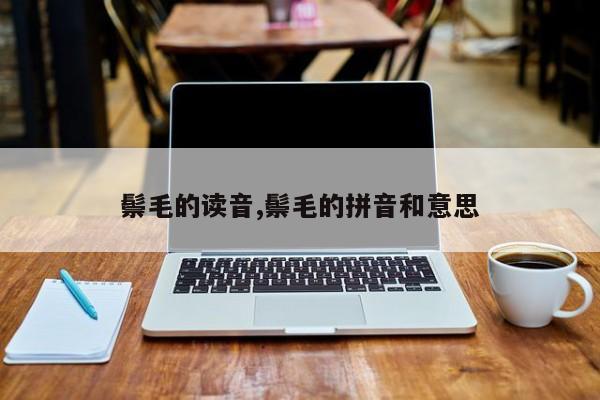鬃毛的读音,鬃毛的拼音和意思