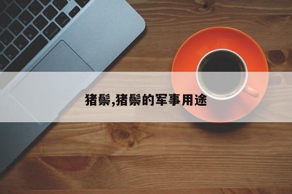 猪鬃,猪鬃的军事用途