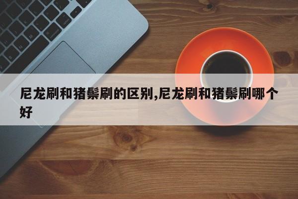 尼龙刷和猪鬃刷的区别,尼龙刷和猪鬃刷哪个好