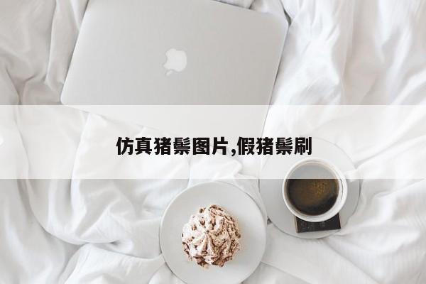 仿真猪鬃图片,假猪鬃刷