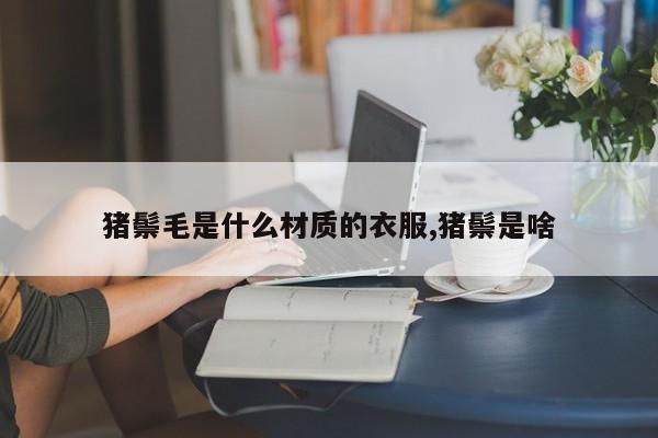 猪鬃毛是什么材质的衣服,猪鬃是啥
