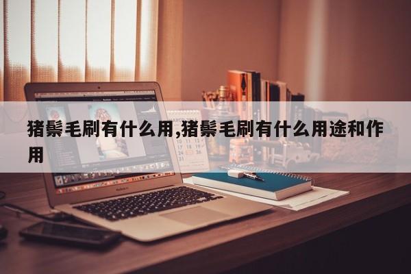 猪鬃毛刷有什么用,猪鬃毛刷有什么用途和作用