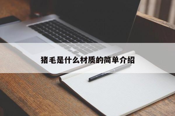 猪毛是什么材质的简单介绍
