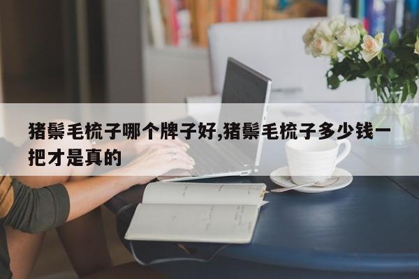 猪鬃毛梳子哪个牌子好,猪鬃毛梳子多少钱一把才是真的