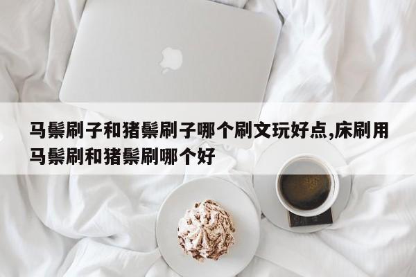 马鬃刷子和猪鬃刷子哪个刷文玩好点,床刷用马鬃刷和猪鬃刷哪个好