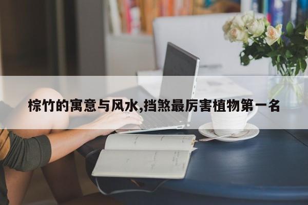棕竹的寓意与风水,挡煞最厉害植物第一名