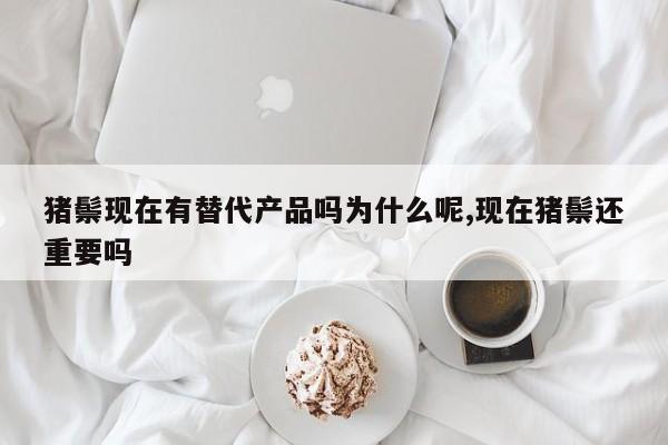 猪鬃现在有替代产品吗为什么呢,现在猪鬃还重要吗