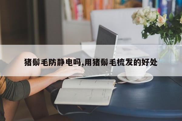 猪鬃毛防静电吗,用猪鬃毛梳发的好处