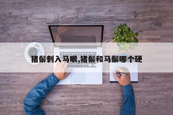 猪鬃刺入马眼,猪鬃和马鬃哪个硬