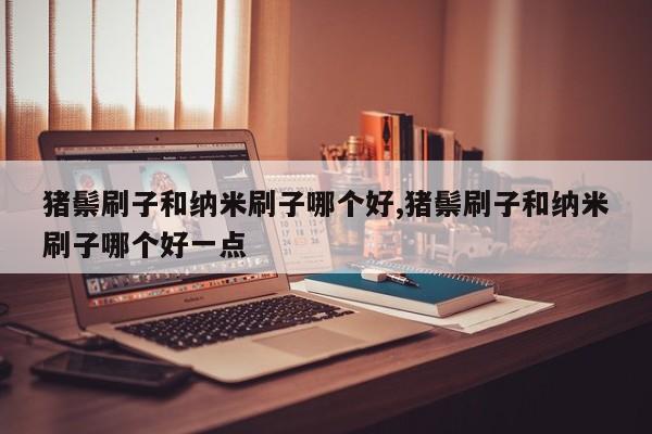 猪鬃刷子和纳米刷子哪个好,猪鬃刷子和纳米刷子哪个好一点