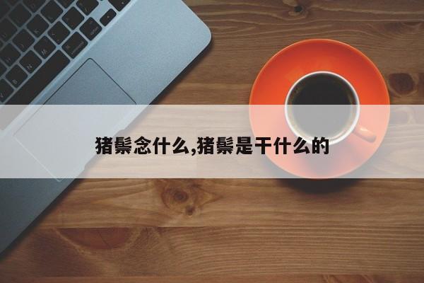 猪鬃念什么,猪鬃是干什么的