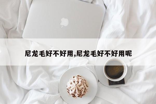 尼龙毛好不好用,尼龙毛好不好用呢