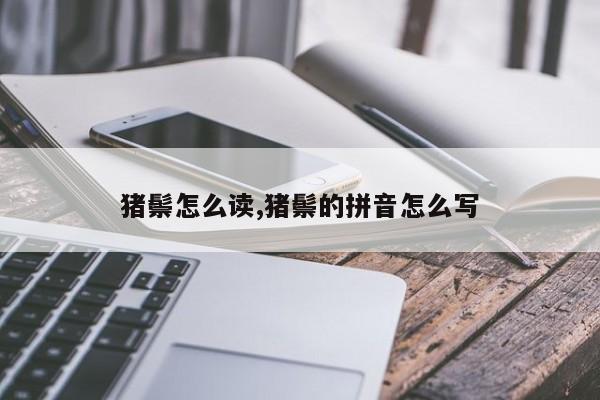 猪鬃怎么读,猪鬃的拼音怎么写