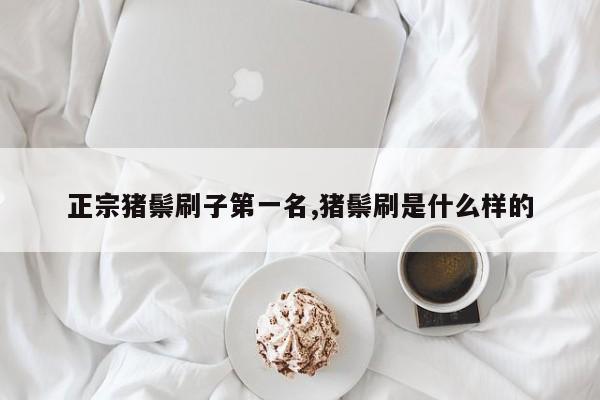 正宗猪鬃刷子第一名,猪鬃刷是什么样的