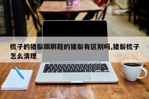 梳子的猪鬃跟刷鞋的猪鬃有区别吗,猪鬃梳子怎么清理