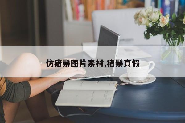 仿猪鬃图片素材,猪鬃真假