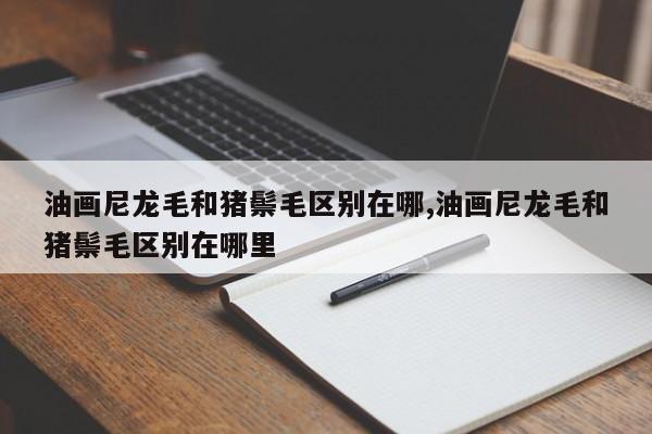油画尼龙毛和猪鬃毛区别在哪,油画尼龙毛和猪鬃毛区别在哪里