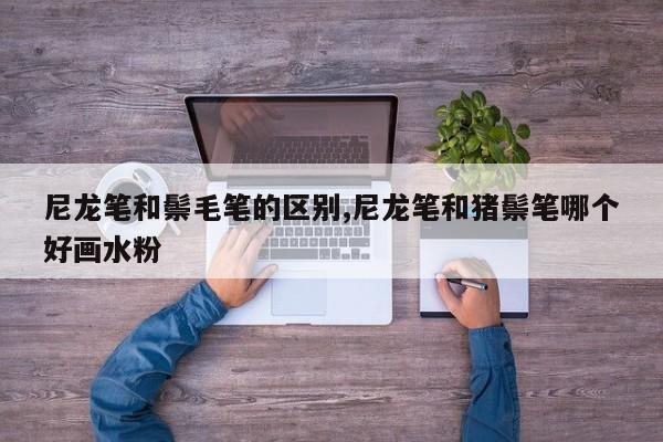 尼龙笔和鬃毛笔的区别,尼龙笔和猪鬃笔哪个好画水粉