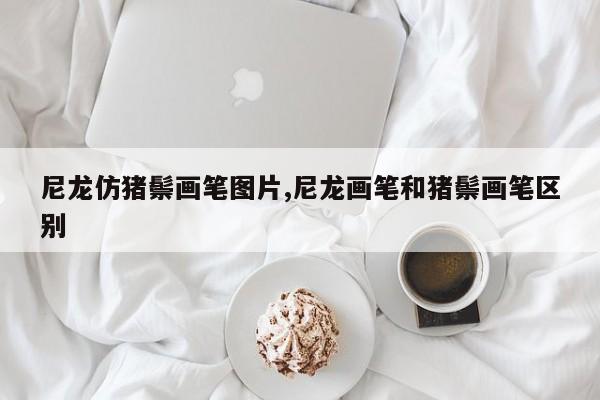 尼龙仿猪鬃画笔图片,尼龙画笔和猪鬃画笔区别