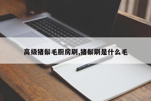 高级猪鬃毛厨房刷,猪鬃刷是什么毛