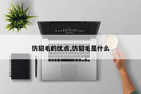 仿貂毛的优点,仿貂毛是什么