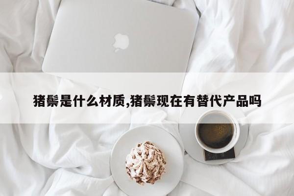 猪鬃是什么材质,猪鬃现在有替代产品吗