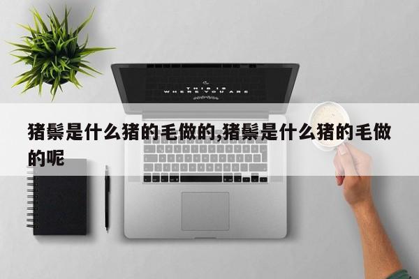 猪鬃是什么猪的毛做的,猪鬃是什么猪的毛做的呢