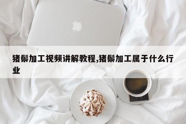 猪鬃加工视频讲解教程,猪鬃加工属于什么行业