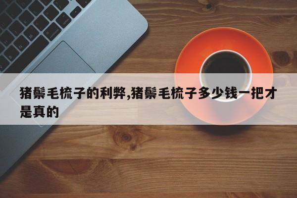 猪鬃毛梳子的利弊,猪鬃毛梳子多少钱一把才是真的