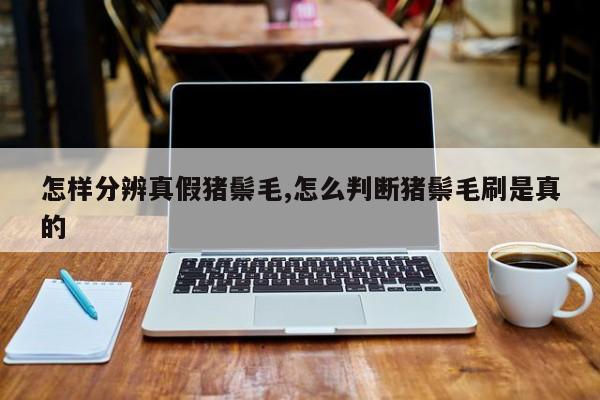 怎样分辨真假猪鬃毛,怎么判断猪鬃毛刷是真的