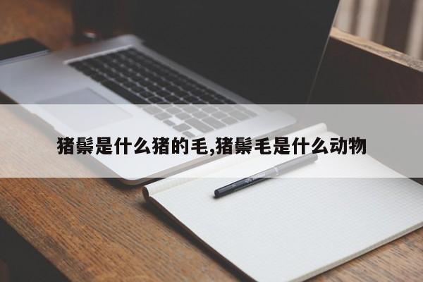 猪鬃是什么猪的毛,猪鬃毛是什么动物