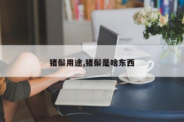 猪鬃用途,猪鬃是啥东西