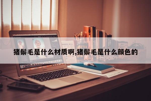 猪鬃毛是什么材质啊,猪鬃毛是什么颜色的