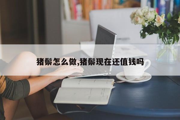 猪鬃怎么做,猪鬃现在还值钱吗