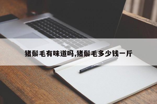猪鬃毛有味道吗,猪鬃毛多少钱一斤