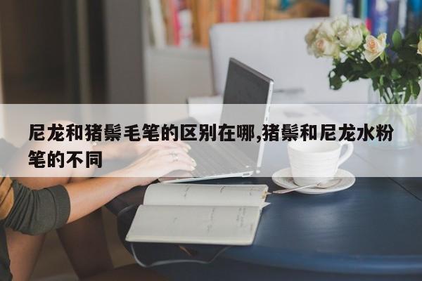 尼龙和猪鬃毛笔的区别在哪,猪鬃和尼龙水粉笔的不同
