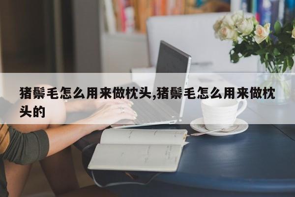 猪鬃毛怎么用来做枕头,猪鬃毛怎么用来做枕头的