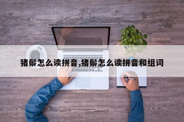 猪鬃怎么读拼音,猪鬃怎么读拼音和组词