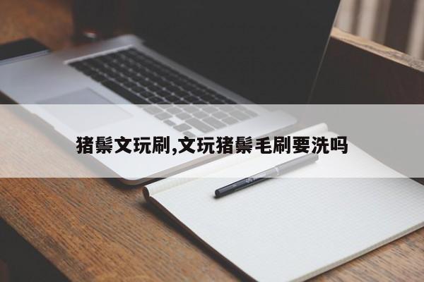 猪鬃文玩刷,文玩猪鬃毛刷要洗吗