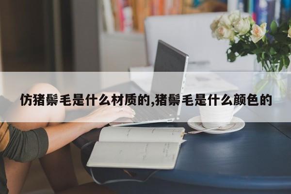 仿猪鬃毛是什么材质的,猪鬃毛是什么颜色的