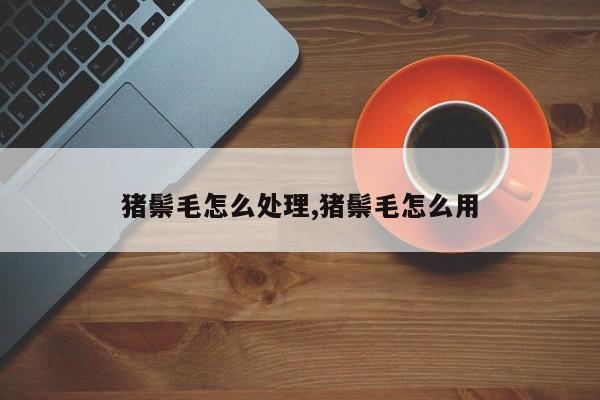 猪鬃毛怎么处理,猪鬃毛怎么用