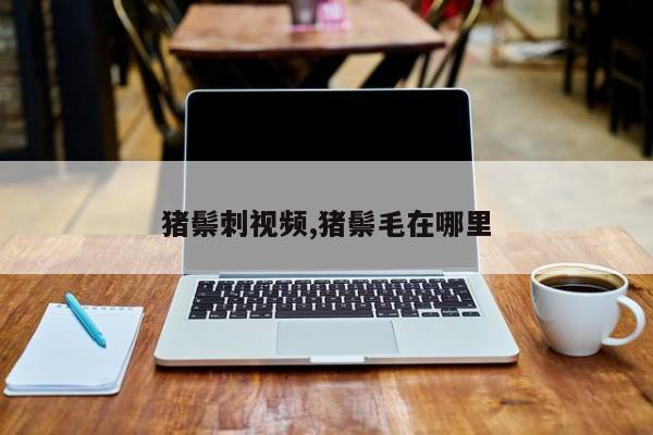 猪鬃刺视频,猪鬃毛在哪里