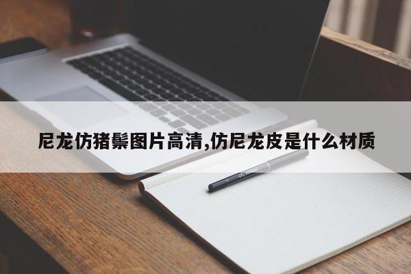 尼龙仿猪鬃图片高清,仿尼龙皮是什么材质