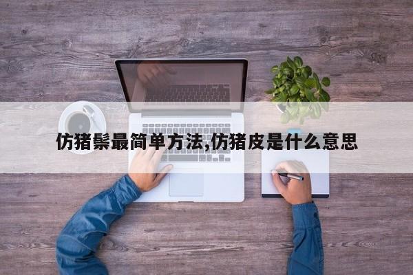 仿猪鬃最简单方法,仿猪皮是什么意思