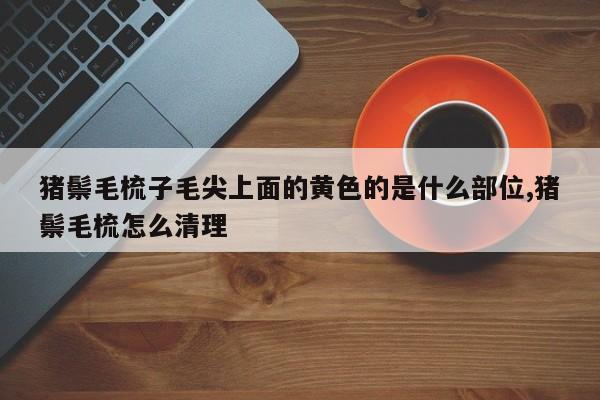 猪鬃毛梳子毛尖上面的黄色的是什么部位,猪鬃毛梳怎么清理